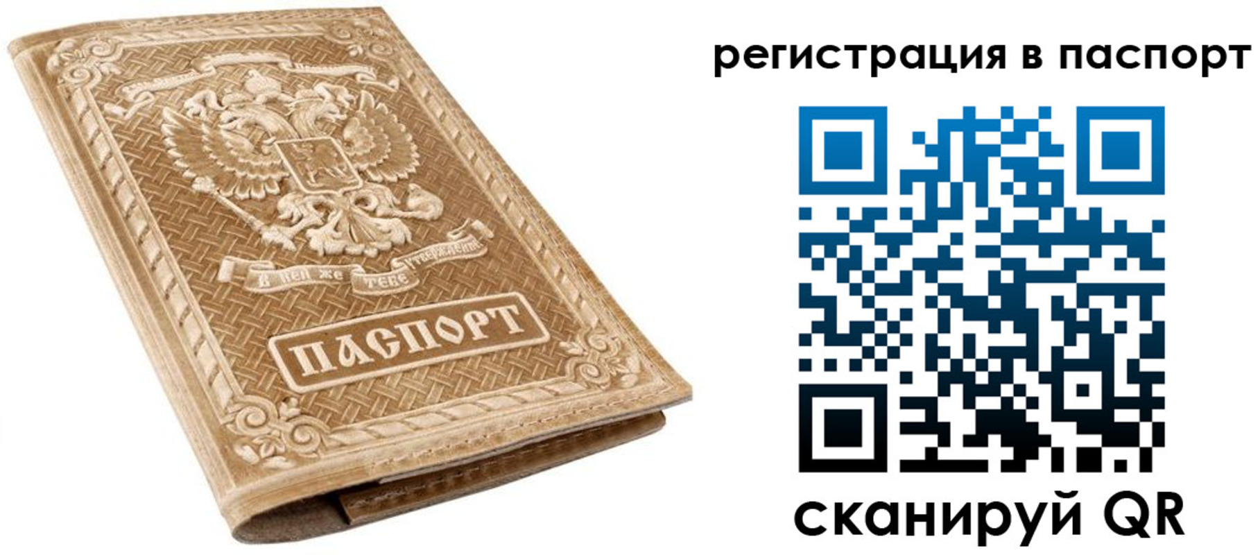 прописка в Кораблино